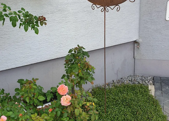 Affittacamere Boitz Rust